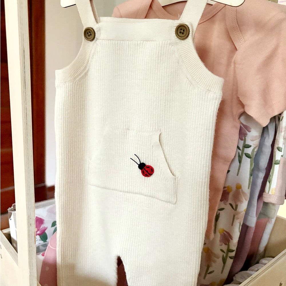 0-3 Months Ivory Cream Overalls with Ladybug Embroidery